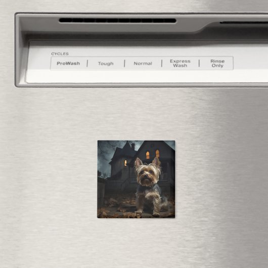 Yorkshire Terrier Halloween eng Magneet (Insitu (Vaatwasser))