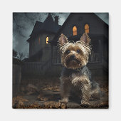 Yorkshire Terrier Halloween eng Magneet (Voorkant)