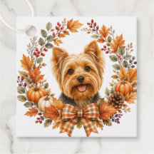 Yorkshire Terrier Herfst