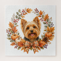 Yorkshire Terrier Herfst