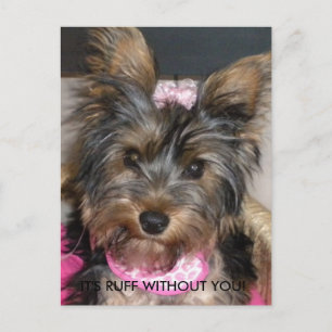 Yorkshire Terrier, HET IS RUFF ZONDER JULLIE! Briefkaart