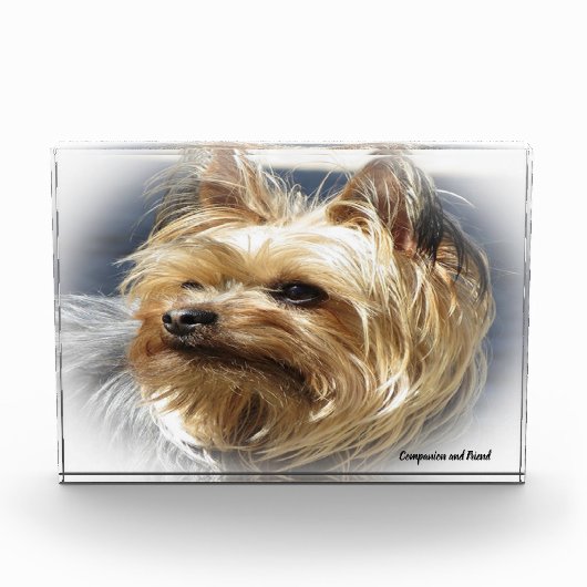 Yorkshire Terrier hond. Fotoblokken (Voorkant)