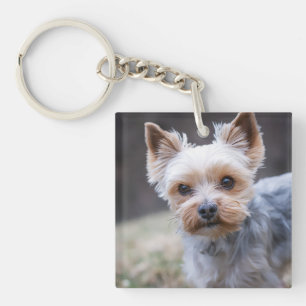 Yorkshire Terriër, Hond, Huisdier Sleutelhanger