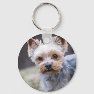 Yorkshire Terriër, Hond, Huisdier Sleutelhanger