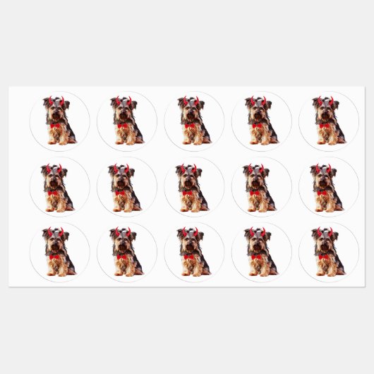 Yorkshire Terrier Hond in Halloween Labels (Vel)