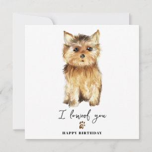 Yorkshire Terrier Hond Moeder Puppy Huisdieren Ver Kaart