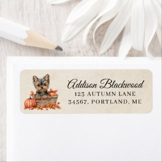 Yorkshire Terrier in een mand met pompoenen Etiket