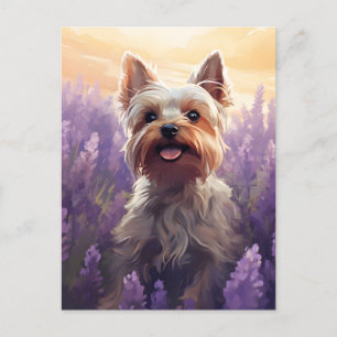 Yorkshire Terrier in Lavender veld Briefkaart