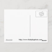 Yorkshire Terrier in roze kaarten (Achterkant)