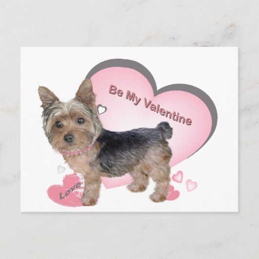 Yorkshire Terrier in roze kaarten (Voorkant)