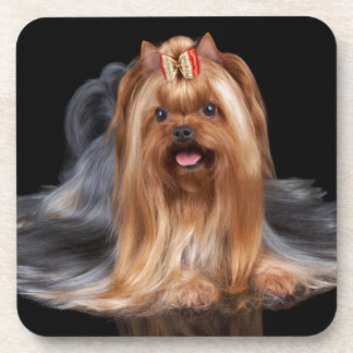 Yorkshire Terrier in zwart-wit Bier Onderzetter