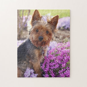 Yorkshire Terrier Jigzaag Puzzle Legpuzzel