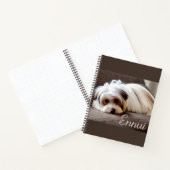 Yorkshire Terrier, Journal de l'Ennui  (Intérieur)
