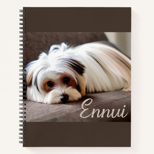 Yorkshire Terrier, Journal de l'Ennui  (Devant)