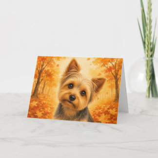 Yorkshire Terrier Kaart