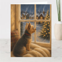 Yorkshire Terrier Kerstmis Raamportret