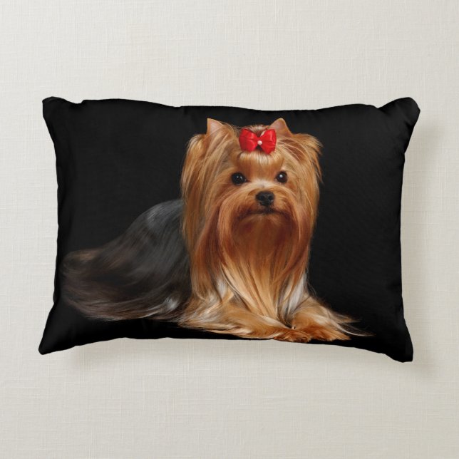Yorkshire Terrier. Kussen (Achterkant)