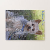 Yorkshire Terrier Legpuzzel (Horizontaal)