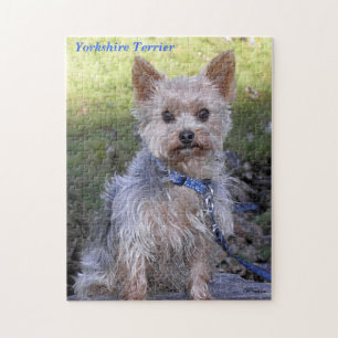 Yorkshire Terrier Legpuzzel