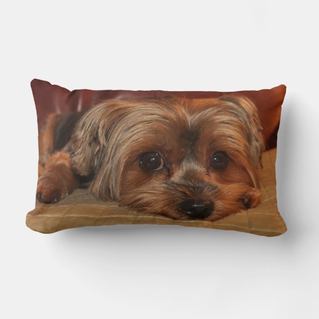 Yorkshire Terrier Lumbar Coussin (Front)