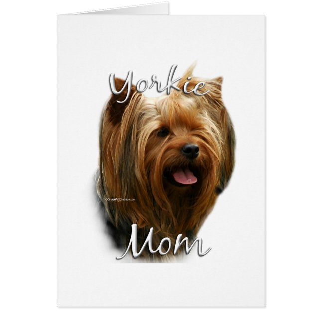 Yorkshire Terrier Ma 2 (Voorkant)