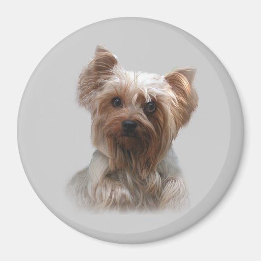 Yorkshire Terrier magneet (Voorkant)