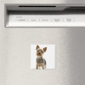 Yorkshire Terrier Magneet (Insitu (Vaatwasser))