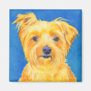 Yorkshire Terrier Magnet - "Sammy" Magneet