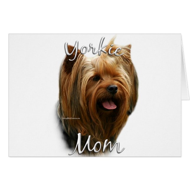 Yorkshire Terrier Maman 2 (Devant horizontal)