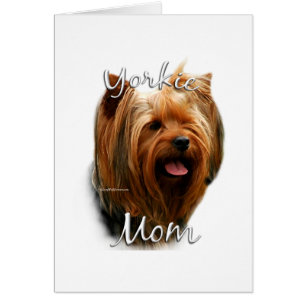 Yorkshire Terrier Maman 2