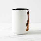 Yorkshire Terrier Mok (Midden)