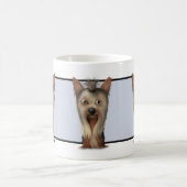 Yorkshire Terrier Mok (Center)