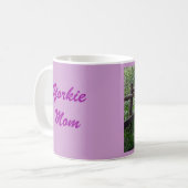Yorkshire Terrier Mok Mama (Voorkant links)