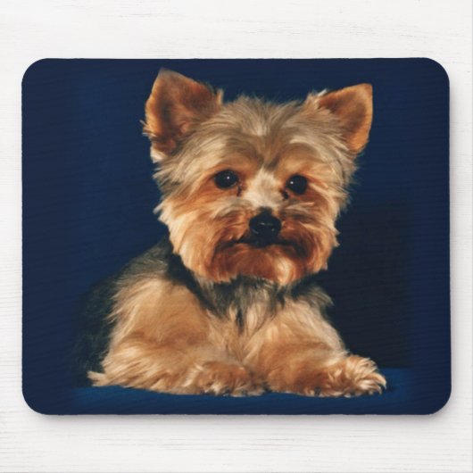 Yorkshire Terrier Mousepad Muismat (Voorkant)