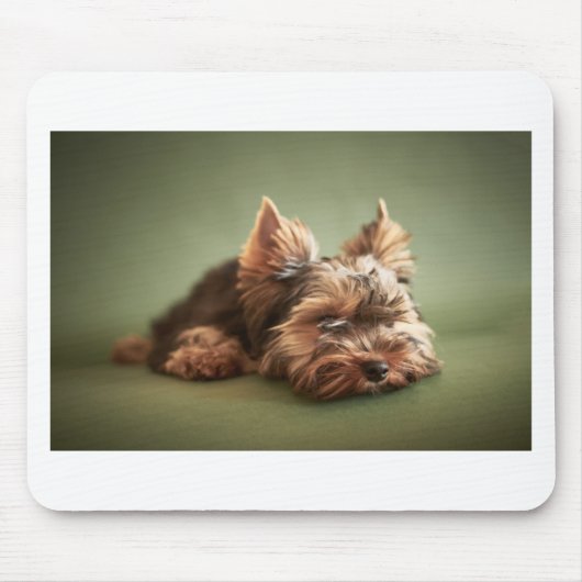 Yorkshire Terrier Muismat (Voorkant)