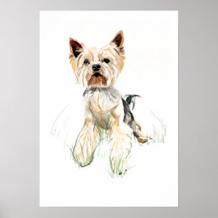 Yorkshire Terrier Muurkunst Poster – Aquarel