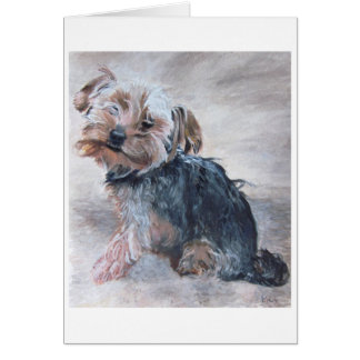 Yorkshire Terrier, Painting