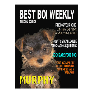 Yorkshire Terrier Parody Magazine Hoesje Foto Afdruk