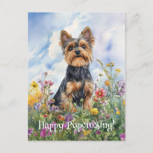 Yorkshire Terrier Postcrossing - Briefkaart