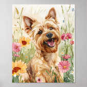 Yorkshire Terrier Poster - Schattigee Dog Wall Art (Voorkant)