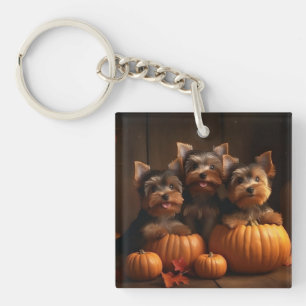 Yorkshire Terrier Pup Autumn Delight Pompoen  Sleutelhanger