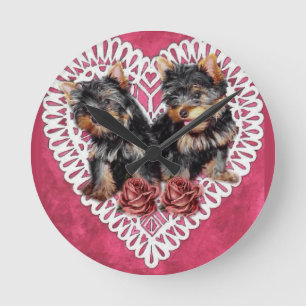 Yorkshire Terrier Puppies Valentijns Ronde Klok