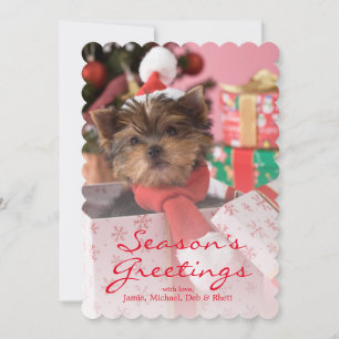 Yorkshire Terrier Puppy and Christmas 2 Feestdagenkaart
