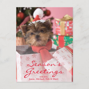 Yorkshire Terrier Puppy and Christmas 2 Feestdagenkaart
