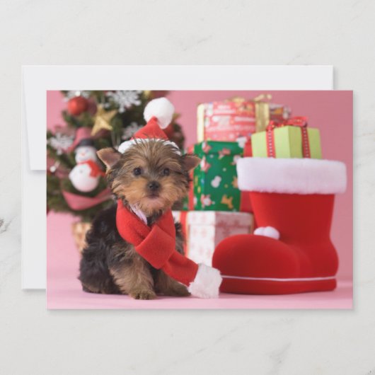Yorkshire Terrier Puppy and Christmas Feestdagenkaart (Voorkant)