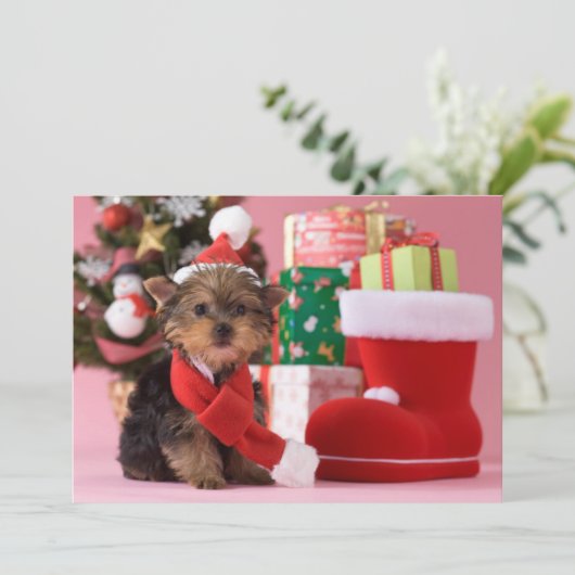 Yorkshire Terrier Puppy and Christmas Feestdagenkaart (Staand voorkant)
