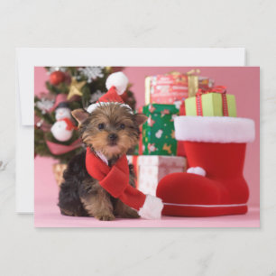 Yorkshire Terrier Puppy and Christmas Feestdagenkaart