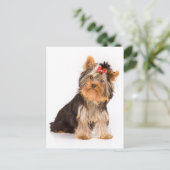 Yorkshire Terrier Puppy Dog Blank Briefkaart (Staand voorkant)