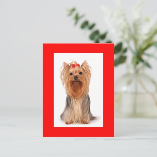 Yorkshire Terrier Puppy Dog Blank Rood Briefkaart (Staand voorkant)
