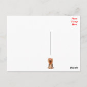 Yorkshire Terrier Puppy Dog Blank Rood Briefkaart (Achterkant)